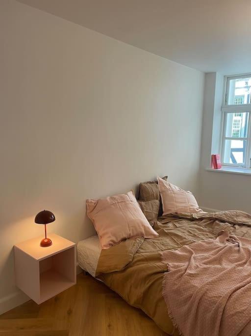 Nyrenoveret Charmerende Lejlighed I Odense C! Daire Dış mekan fotoğraf