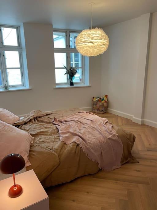 Nyrenoveret Charmerende Lejlighed I Odense C! Daire Dış mekan fotoğraf